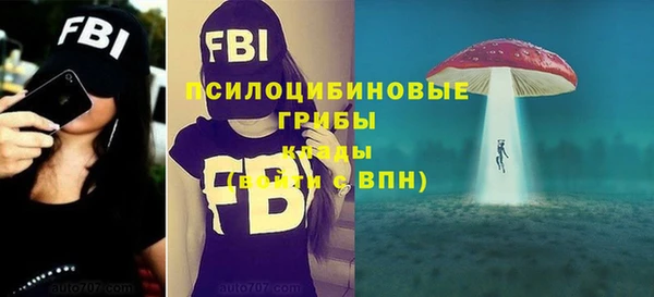 эйфоретик Беломорск