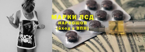эйфоретик Беломорск