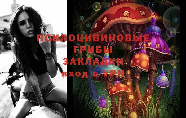 apvp Белокуриха