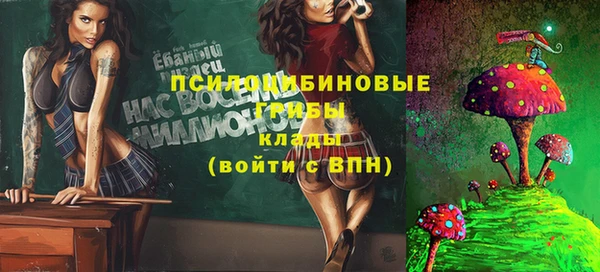 эйфоретик Беломорск