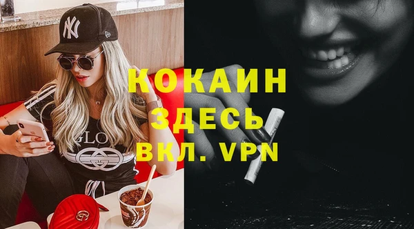 apvp Белокуриха