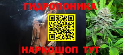 apvp Заволжье