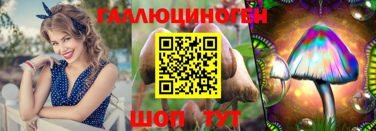 Галлюциногенные грибы Psilocybine cubensis Губкинский