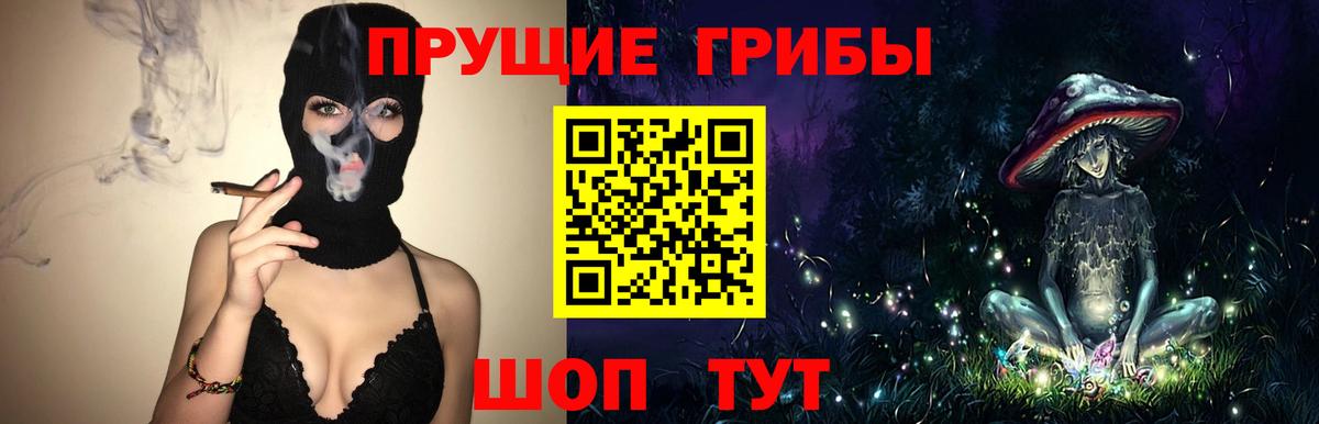 Галлюциногенные грибы Psilocybine cubensis  Вход с VPN  Губкинский 